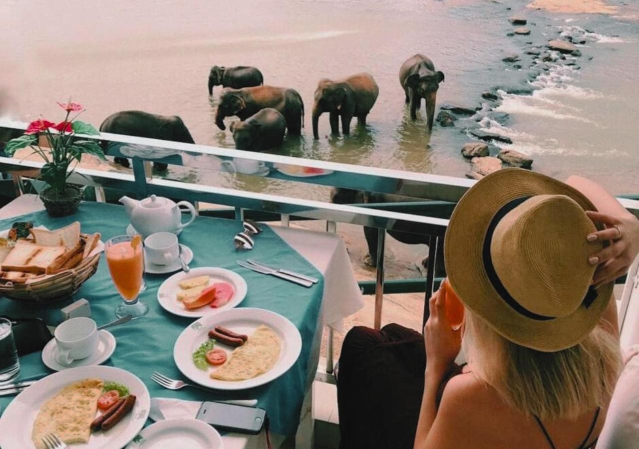 Hotel Elephant Park - New Deal! Half Off Airport Pickups Available Pinnawala  Buitenkant foto