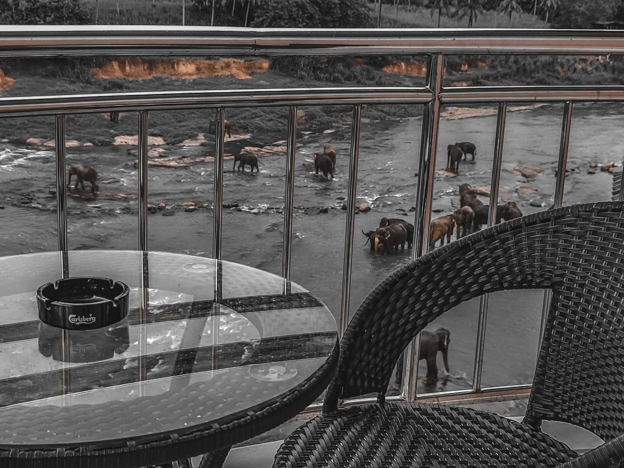 Hotel Elephant Park - New Deal! Half Off Airport Pickups Available Pinnawala  Buitenkant foto