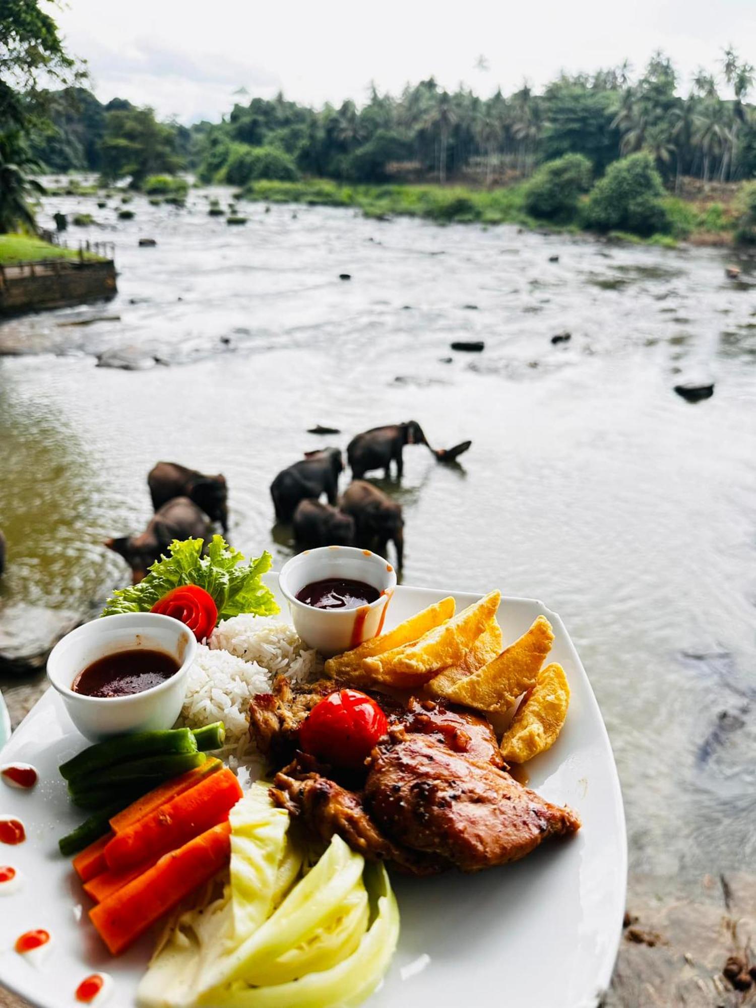 Hotel Elephant Park - New Deal! Half Off Airport Pickups Available Pinnawala  Buitenkant foto