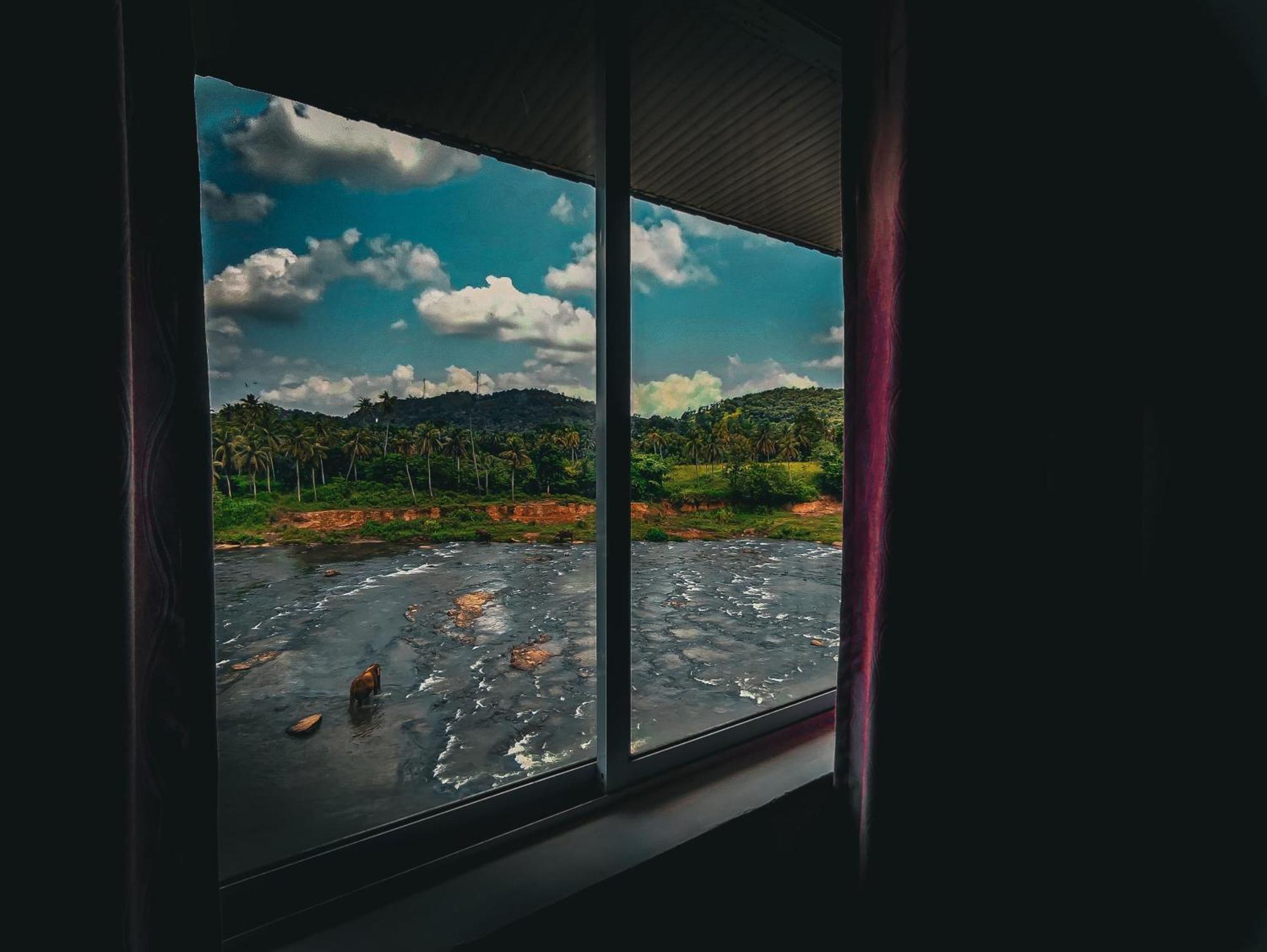 Hotel Elephant Park - New Deal! Half Off Airport Pickups Available Pinnawala  Buitenkant foto