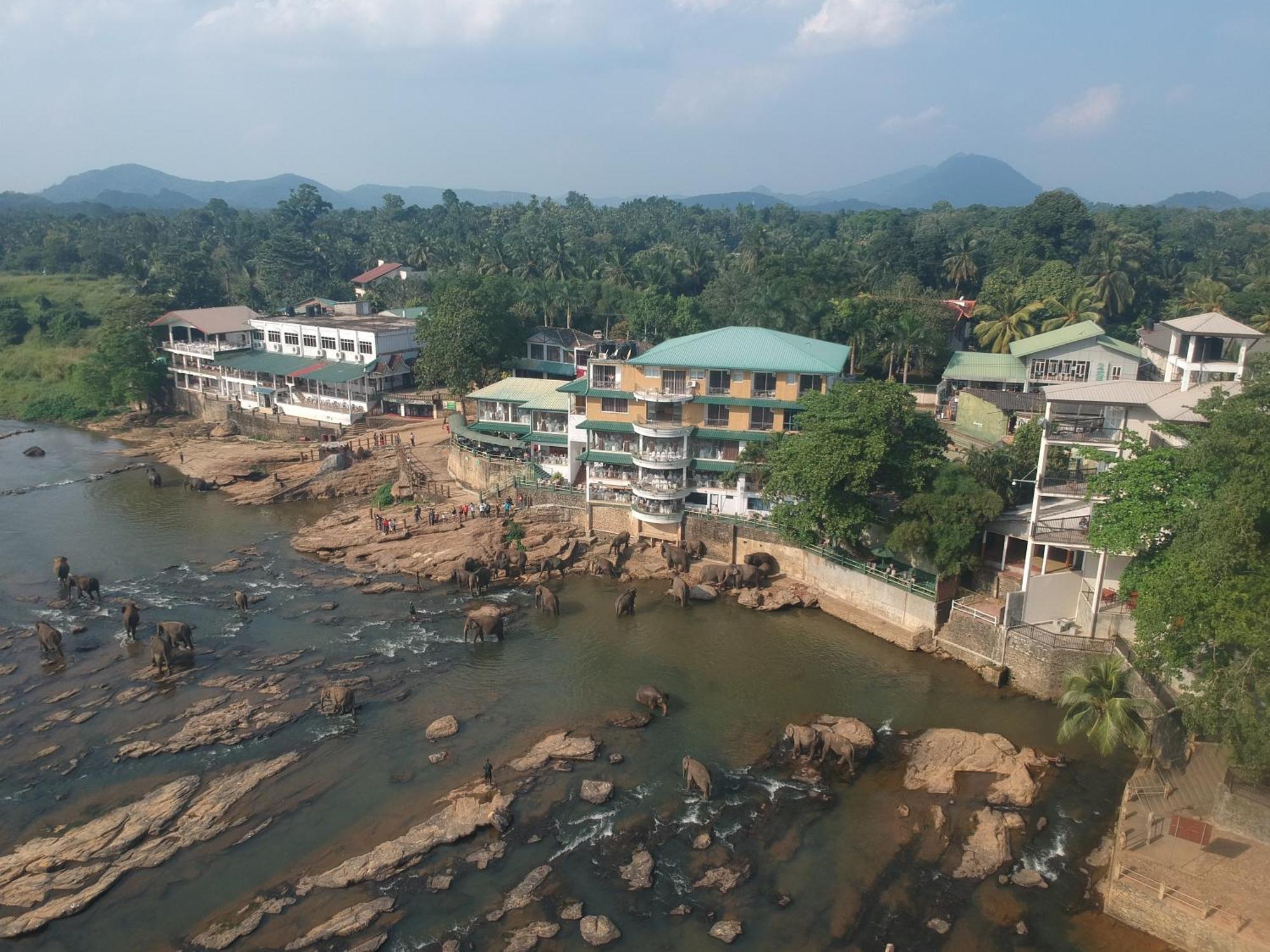 Hotel Elephant Park - New Deal! Half Off Airport Pickups Available Pinnawala  Buitenkant foto