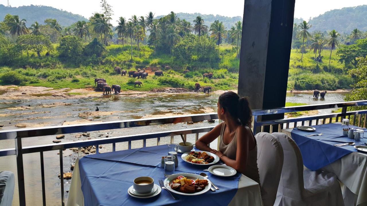 Hotel Elephant Park - New Deal! Half Off Airport Pickups Available Pinnawala  Buitenkant foto