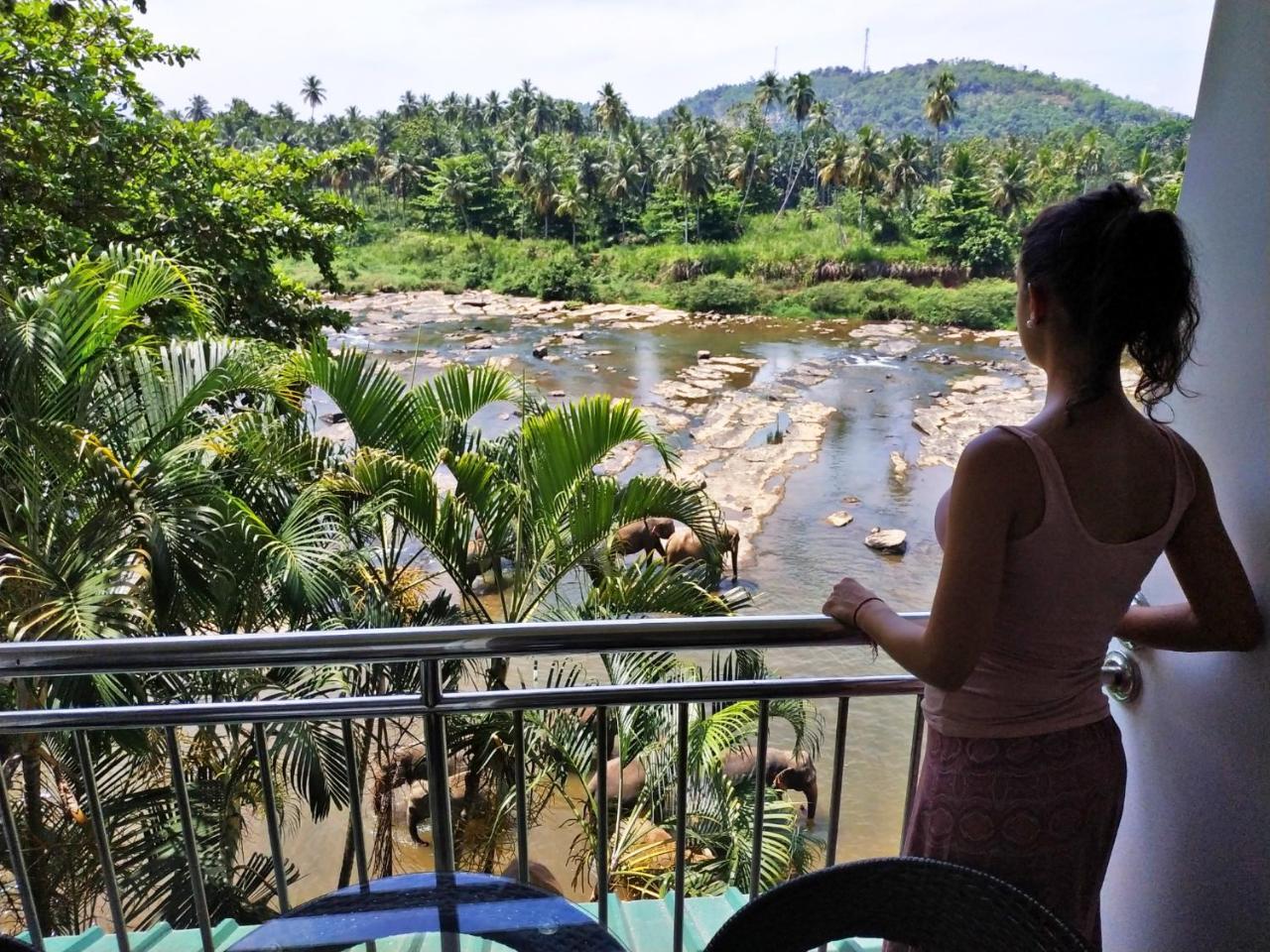 Hotel Elephant Park - New Deal! Half Off Airport Pickups Available Pinnawala  Buitenkant foto