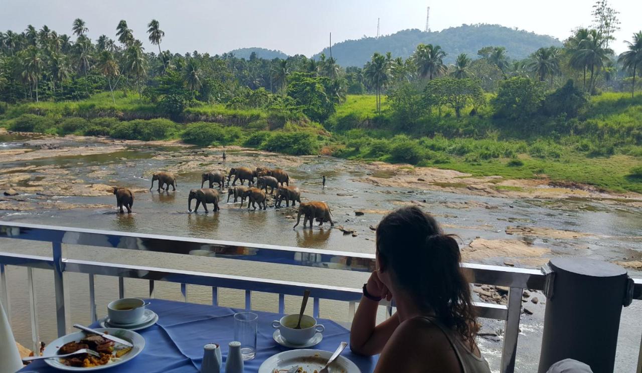 Hotel Elephant Park - New Deal! Half Off Airport Pickups Available Pinnawala  Buitenkant foto