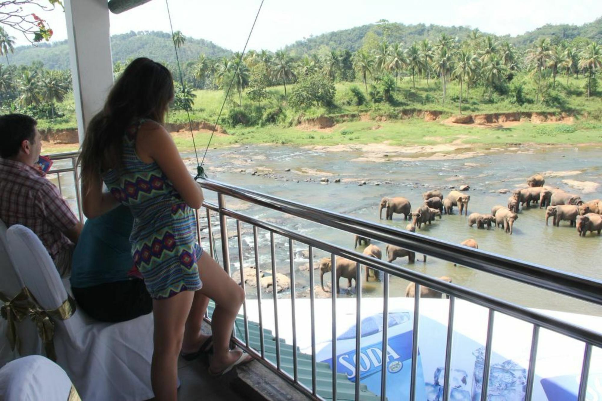 Hotel Elephant Park - New Deal! Half Off Airport Pickups Available Pinnawala  Buitenkant foto