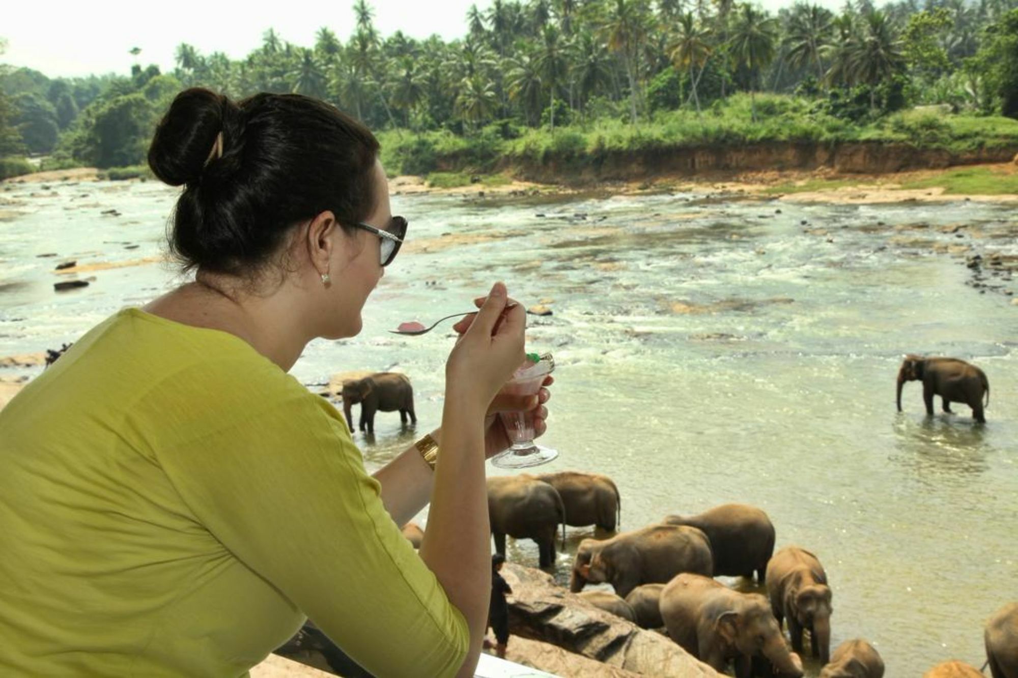 Hotel Elephant Park - New Deal! Half Off Airport Pickups Available Pinnawala  Buitenkant foto