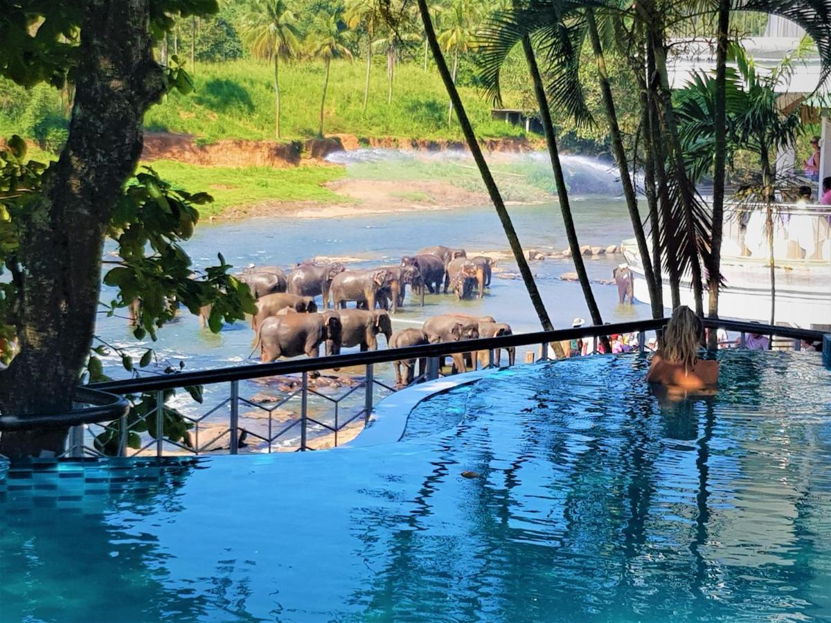 Hotel Elephant Park - New Deal! Half Off Airport Pickups Available Pinnawala  Buitenkant foto